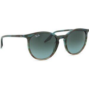Ray-Ban RB2204 1394GK 54