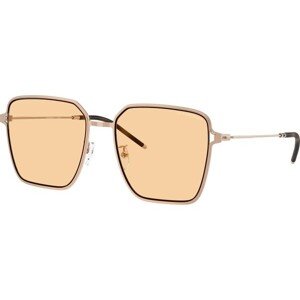 Emporio Armani EA2159D 3011/7 - ONE SIZE (57)