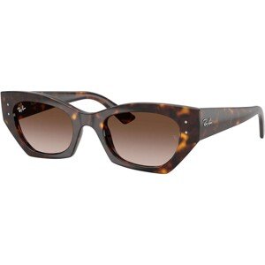 Ray-Ban Zena RB4430 135913 - M (49)