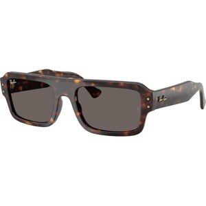 Ray-Ban Lukas RB4454 1359B1 - L (56)