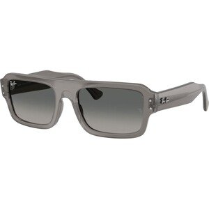 Ray-Ban Flacko RB4454 680571 - M (53)