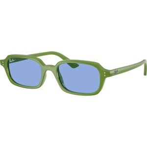 Ray-Ban Zuri RB4455 681080 - M (49)